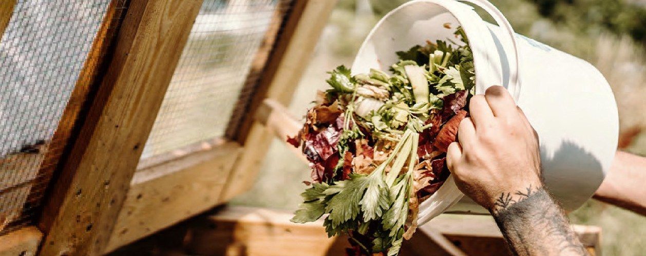 Gastroodpad versus bioodpad – víte, jak vytřídit kávu a skořápky od vajíček?